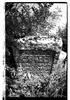 Photograph of: Jewish cemetery in Kremenets.