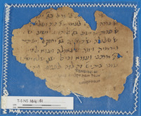 נספחות לחיבור.
