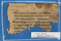מוסר; ספרות הלכתית ופרשנות תלמודית; ספרות חז"ל; פילוסופיה.