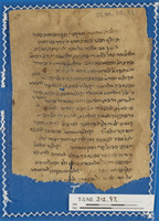 הלכה; הלכות שחיטה וטריפות וניקוי; ספרות הלכתית ופרשנות תלמודית; ספרות חז"ל.
