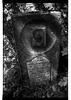 Photograph of: Jewish cemetery in Boiany (Boyan).
