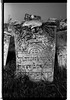 Photograph of: Jewish cemetery in Novoselytsia.