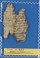 מקרא [טקסט];תחום לא מזוהה.