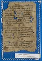 היסטוריוגרפיה ותאורים גיאוגרפיים;סדרי ברכות (ברכות הנהנין, השבח, המצוות);ספרי רפואה;רפואה.