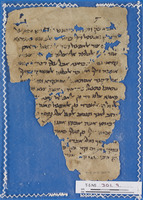 דקדוק; חכמת הלשון.