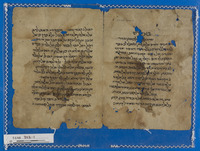 כתאב ג'אמע אלאלפאט'; מילונים.