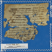 הלכה;ספרות הלכתית ופרשנות תלמודית;ספרות חז"ל;תוספות של סידור;תעודות אישיות ושטרות.