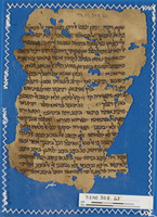 גלוסאר למקרא;חכמת הלשון;ספרות הלכתית ופרשנות תלמודית;ספרות חז"ל;פרשנות מקרא.