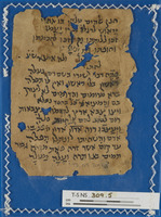 ספרות הלכתית ופרשנות תלמודית;ספרות חז"ל;שירת חול.
