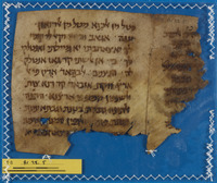 תפסיר ערבי.