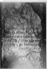 מצבתו של יוסף אבן חיים, קינגסטון, ג'מייקה.