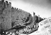 החומה הצפונית של ירושלים העתיקה ועדרי הצאן למרגלותיה.