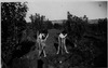 האחיות שרה (לימים רוזנברג) ורחל ליברמן (לימים כפרי) מנכשות עשבים במטע של משפחת ליברמן, מושב נהלל.