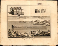 [Arche de Noé].