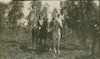 צמד נערים רוכבים על סוסים בחורשת אקליפטוסים, כפר ילדים, גבעת המורה.