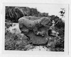 אבן עם דמות נמר, משרידי בית הכנסת באום אל קנטיר (עין קשתות), דרום רמת הגולן.