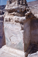 מצדה – הספרייה הלאומית