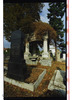 Photograph of: Jewish Cemetery in Sumbor (Zombor).