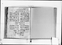 שאהזאדה וצופי.