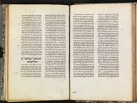 זכות אדם.