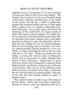How to study pictures by means of a series of comparisons of paintings and painters from Cimabue to Monet : with historical and biographical summaries and appreciations of the painters' motives and methods / by Charles H. Caffin.
