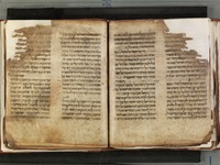 תורה.