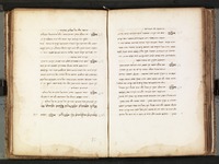 פרוש הארגוזה של אבן סינא.