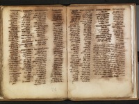 צירקא אישטנץ.