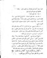 رواية زنبقة الغور / تأليف امين الريحانى.