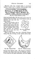 Decorative designs of all ages for all purposes.