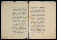 "صنيع الذليل" : شرح الاندلسية في علم الخليل.