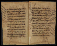 المختار للفتوى.