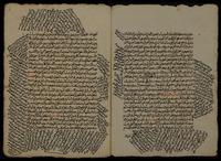كتاب الجفر.