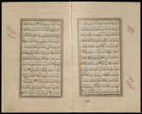 دلائل الخيرات.