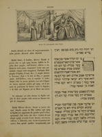 הגדה של פסח : עם ציורים ותרגום איטלקי.