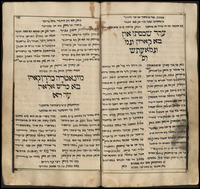 שאהין על תורה (שמות-דברים).