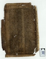 Moralia in Job (liber 26).