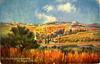 The Mount of Olives, Jerusalem (Eretz Israel - Palestine) – הספרייה הלאומית