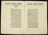 النهجة المرضية في شرح الالفية.