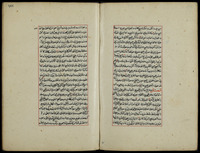 عنقود الزواهر.
