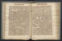 מקוה ישראל.