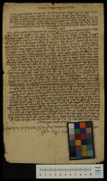 אגרת מעשרת השבטים.