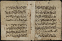 תורה שומרונית (בראשית כט-מט).