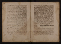 עסיס רמונים.