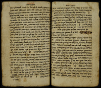 תכלאל.