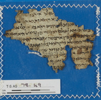 תלמוד בבלי [טקסט].