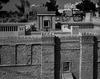 ירושלים: מקט הר הבית של אבי-יונה – הספרייה הלאומית