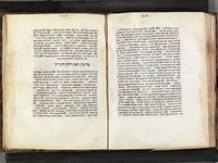 פרוש התורה לראב"ע.