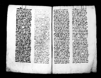 וכוח : בלטינית.