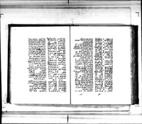 מימר מרקה.